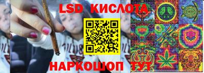 ПСИЛОЦИБИНОВЫЕ ГРИБЫ Бердск