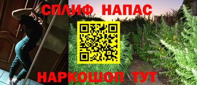 ПСИЛОЦИБИНОВЫЕ ГРИБЫ Бердск