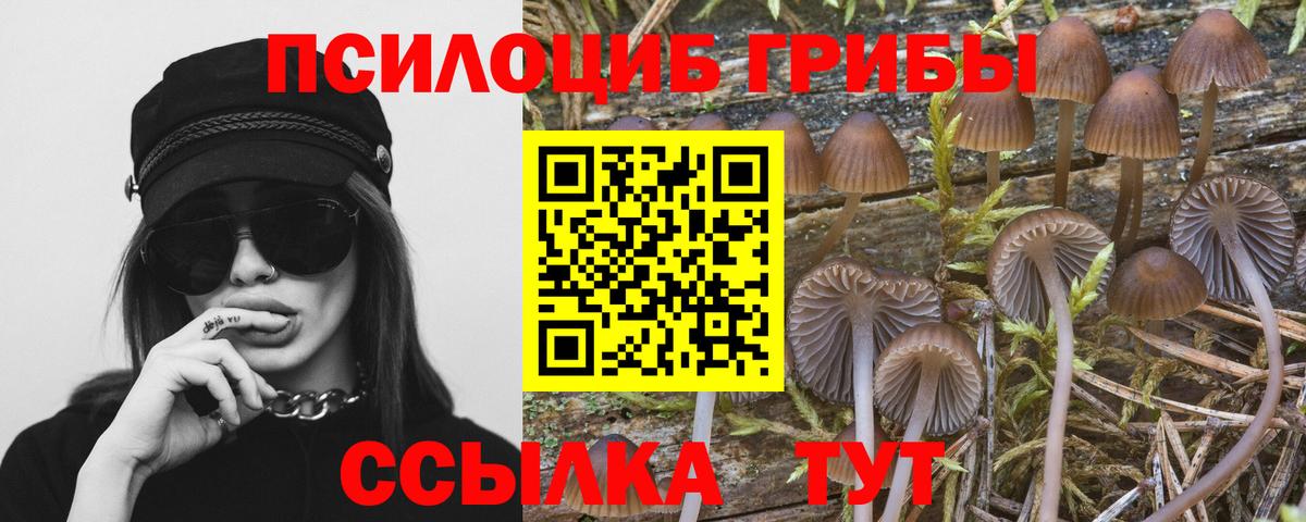 наркошоп  Вход с VPN  Партизанск  Галлюциногенные грибы Cubensis 