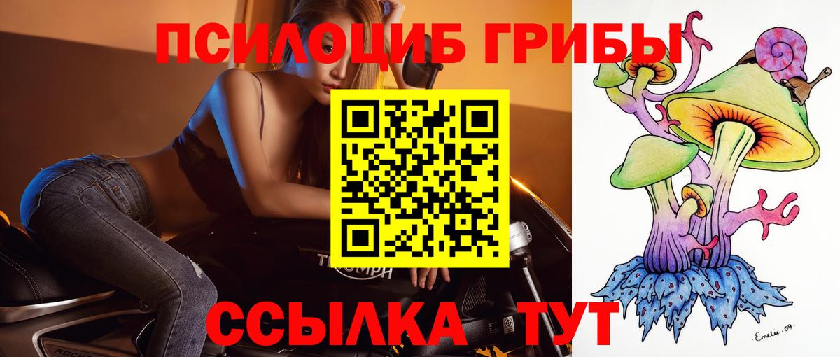 Псилоцибиновые грибы Psilocybe Партизанск